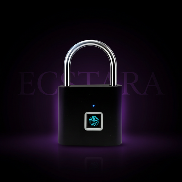 Outdoor Waterproof Smart Fingerprint Padlock